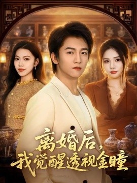 离婚后，我觉醒透视金瞳全集