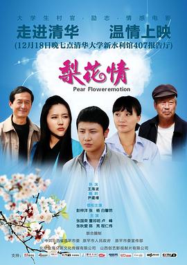 梨花情全集