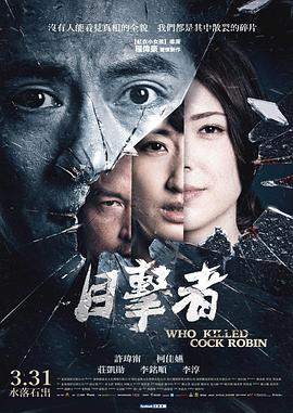 目击者之追凶全集