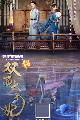 双面太子妃全集