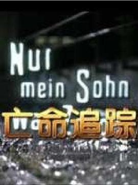 亡命追踪全集