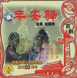辛安驿全集