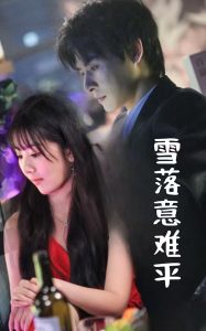 雪落意难平全集