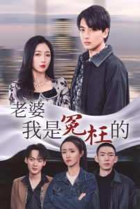 老婆我是冤枉的全集