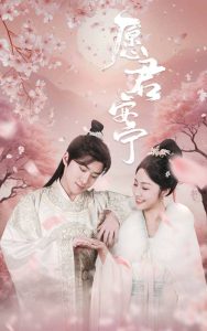 愿君安宁全集