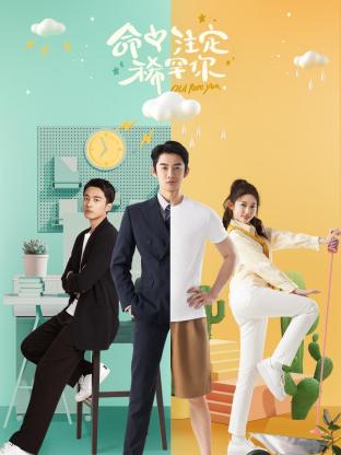 命中注定稀罕你全集