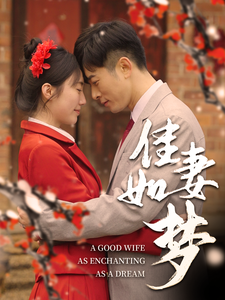 佳妻如梦全集