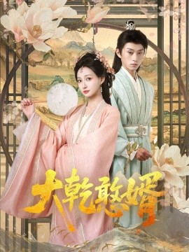 大乾憨婿101集全集