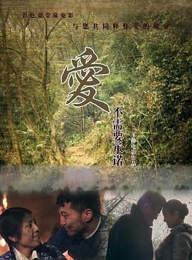 爱不需要承诺全集