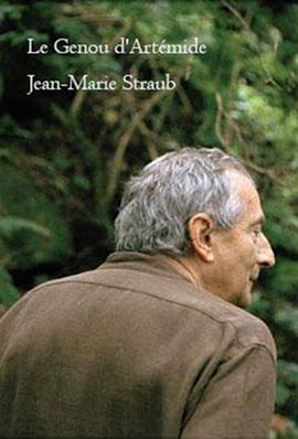 阿蒂米德的膝盖全集