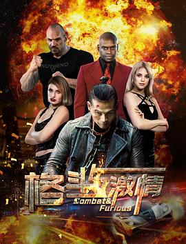 格斗与激情全集