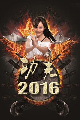 功夫2016全集