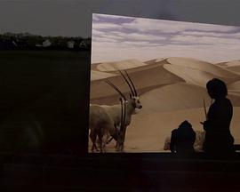 何处是巧克力山全集