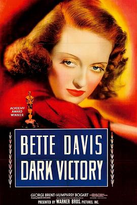 黑暗的胜利全集