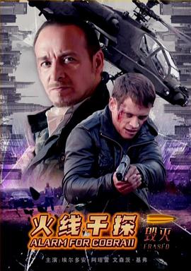 火线干探之毁灭全集