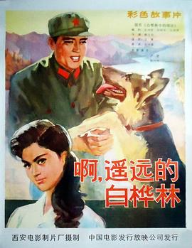 白桦林中的哨所全集