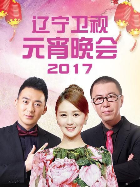 辽宁卫视元宵晚会 2017全集