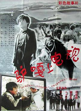 驴嘎上电视全集