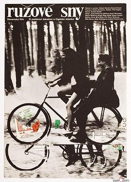 玫瑰色的梦全集