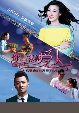 你是不是我的爱人全集