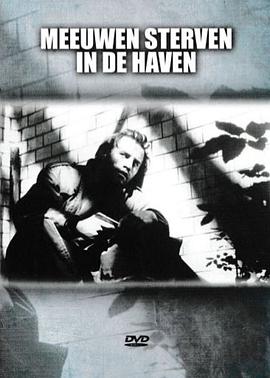 鸥鸟落亡于海港全集