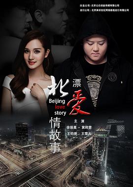 北漂爱情故事2016全集