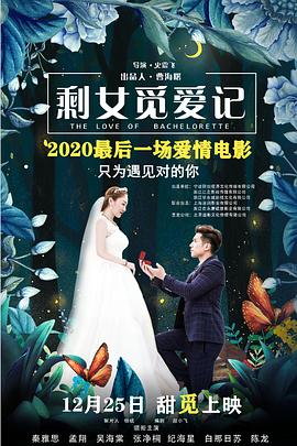 剩女觅爱记全集