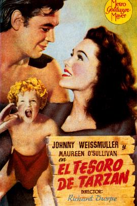 泰山的秘密宝藏全集