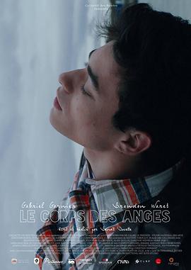 天使的身体全集