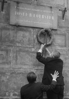 我们的费尔斯特先生去世了全集