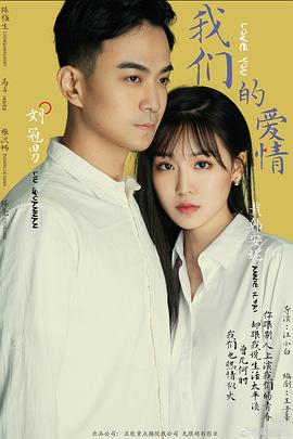 我们的爱情全集