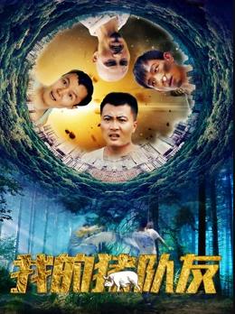 我的猪队友全集