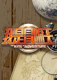 我是冒险王2011全集