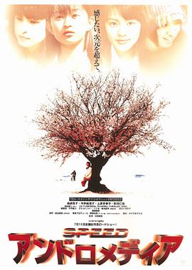 仙女座报告全集