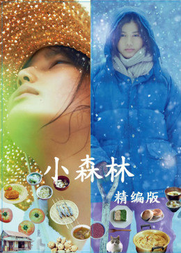 小森林精编版全集