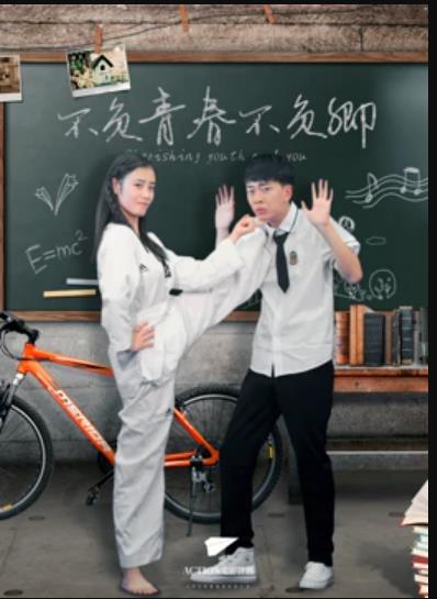 不负青春不负卿全集