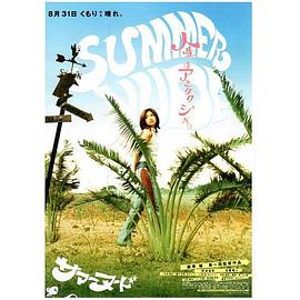 夏天的小岛全集