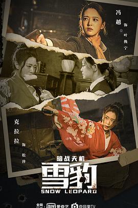 雪豹之暗战天机全集