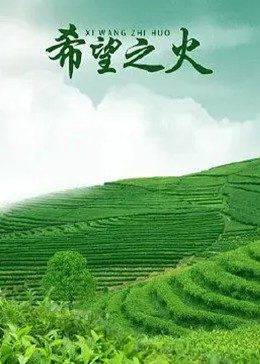 西游超级粉全集