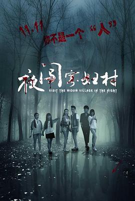 夜闯寡妇村全集