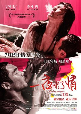 一夜未了情全集