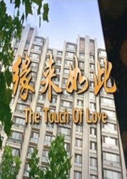 缘来如此2017全集