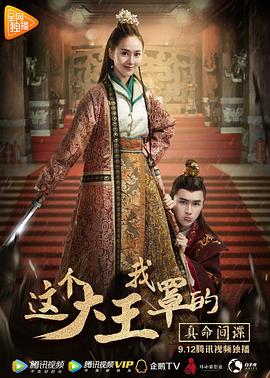 这个大王我罩的：真命间谍全集