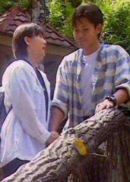 最后一个乘客全集