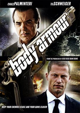 刺客与保镖全集