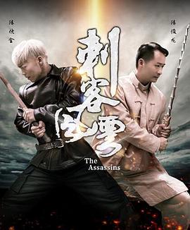刺客风云全集
