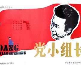 党小组长全集