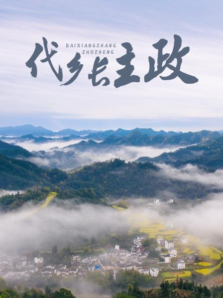 代乡长主政全集