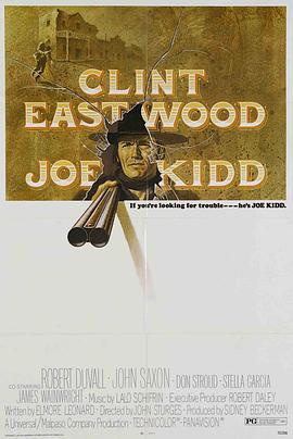 独行神枪侠全集