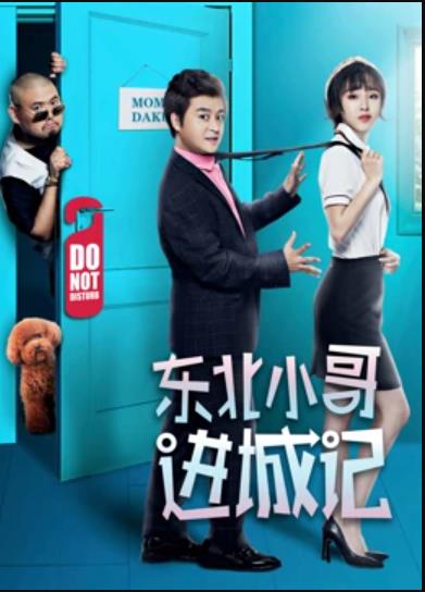 东北小哥进城记全集